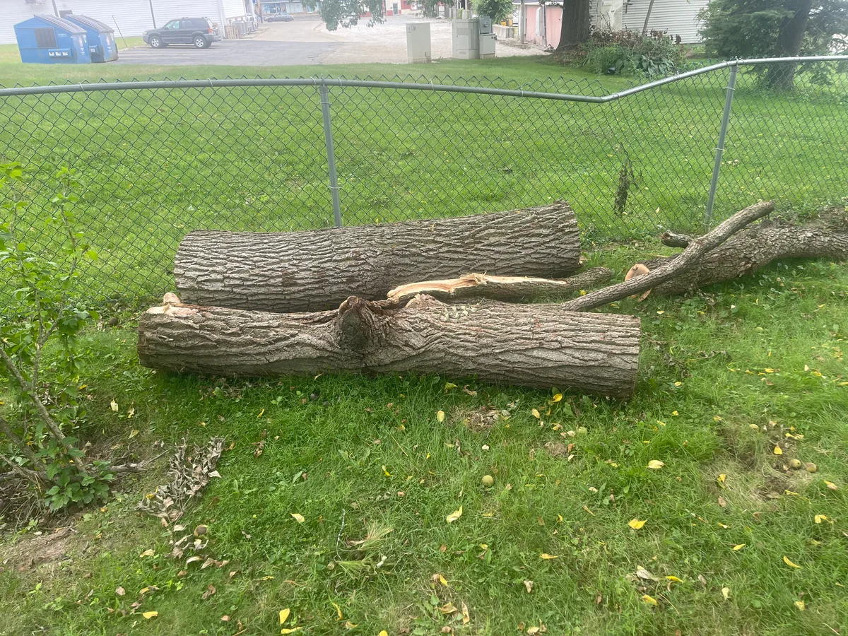 Walnut