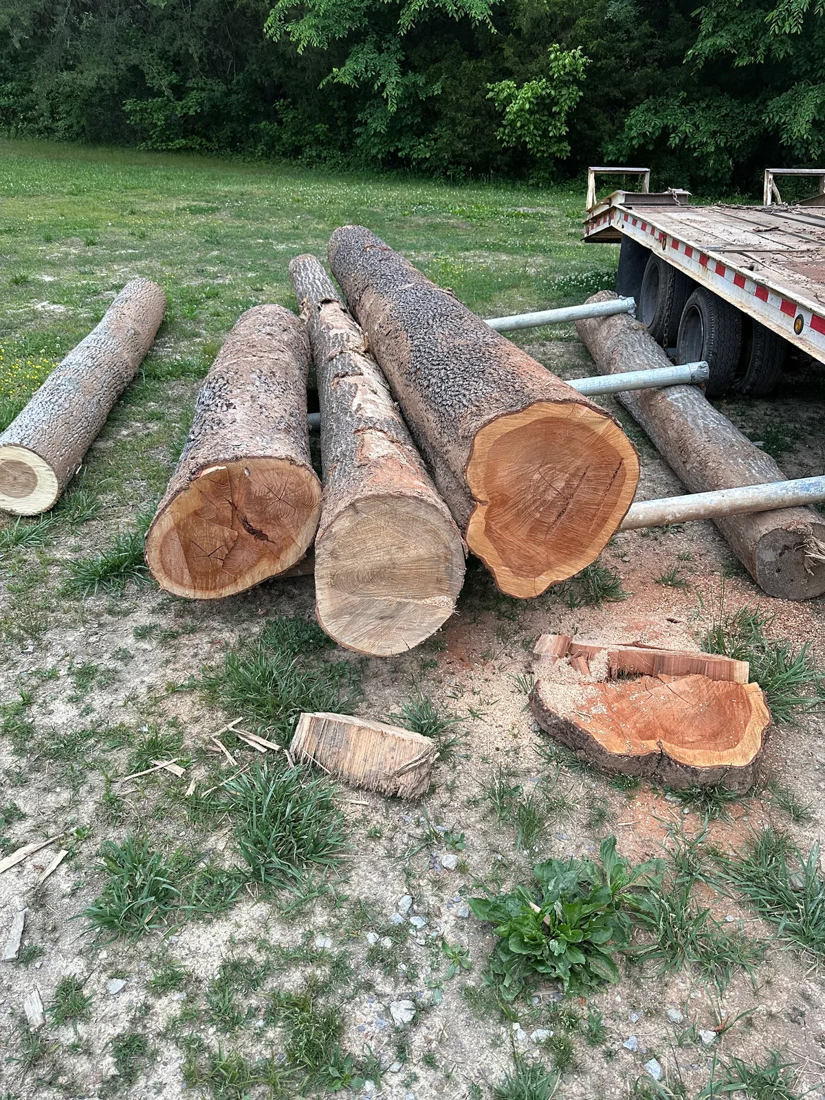 Cherry Prime Logs