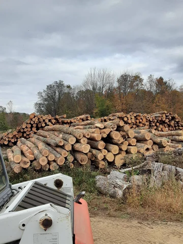 Mixed Hardwood