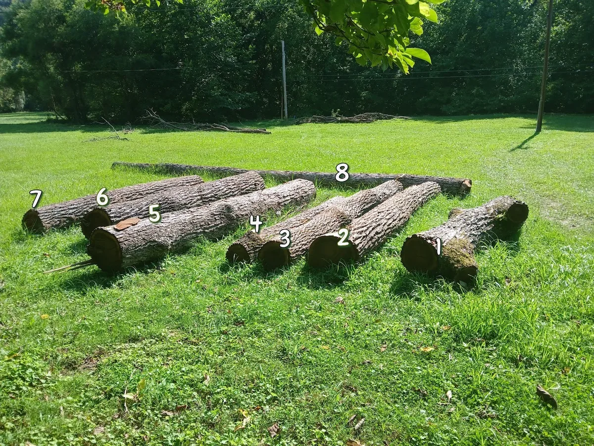 Walnut Logs for sale in WV