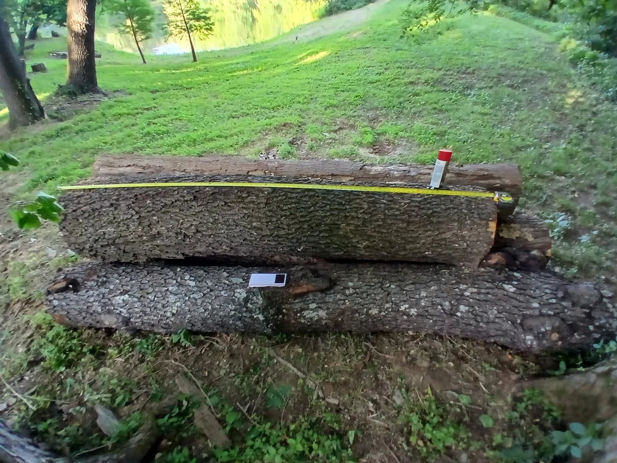 Mixed Hardwood