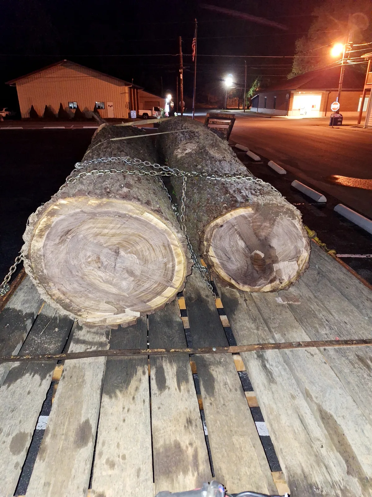 Walnut Veneer Logs for sale in TN